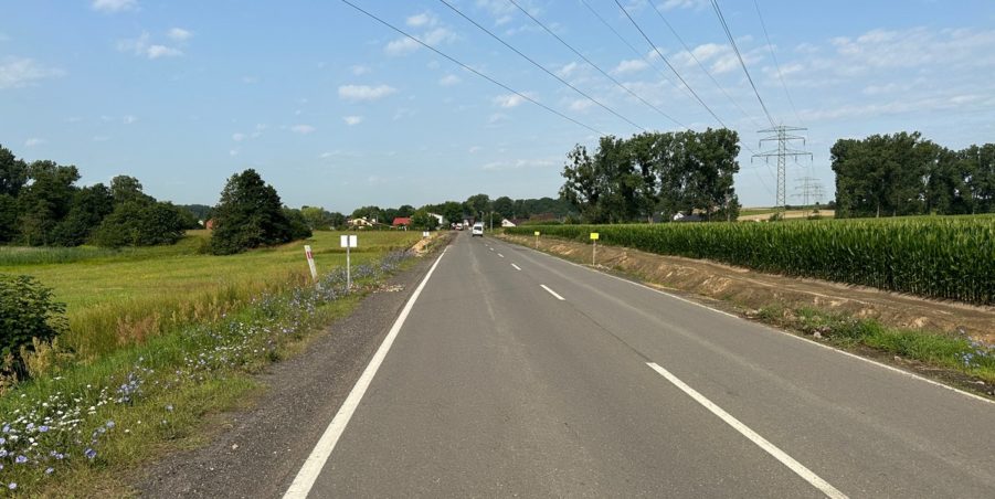 2023 07 11 km 246+900 pola strona lewa