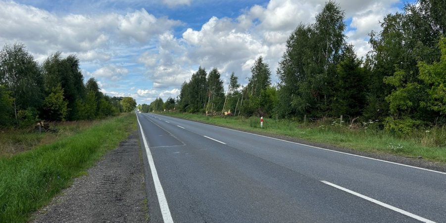 2023 08 01 km 252+500 pola strona lewa