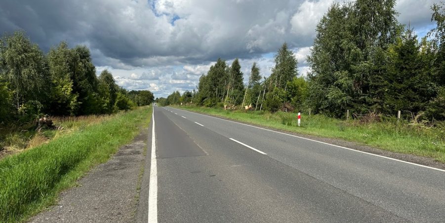 2023 08 08 km 252+500 pola strona lewa