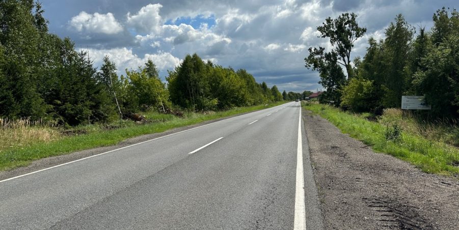 2023 08 08 km 252+500 pola strona prawa