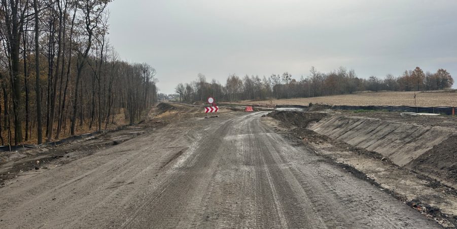 2023 11 21 km 248+900 las Boniowski