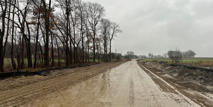 2023 12 19 km 248+900 las Boniowski