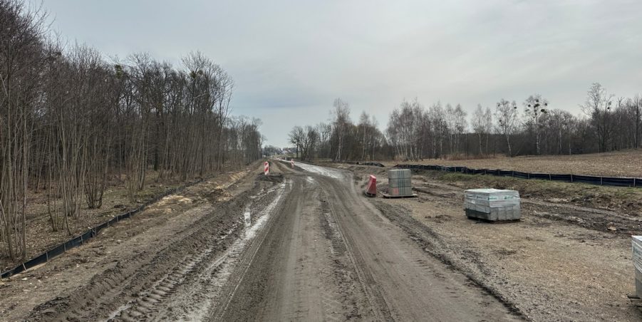 2024 02 20 km 248+900 las Boniowski