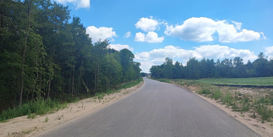 2024 06 24 km 248+900 las Boniowski