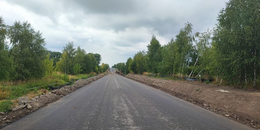 2024 07 03 km 252+500 pola strona lewa