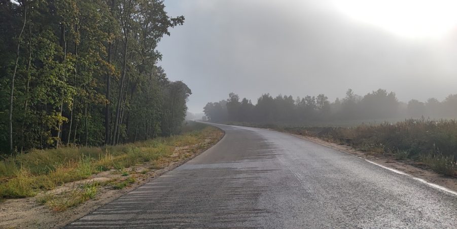 2024 09 11 km 248+900 las Boniowski