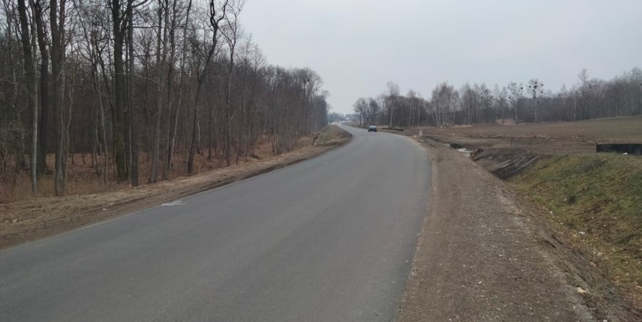 2025 02 21 km 248+900 las Boniowski