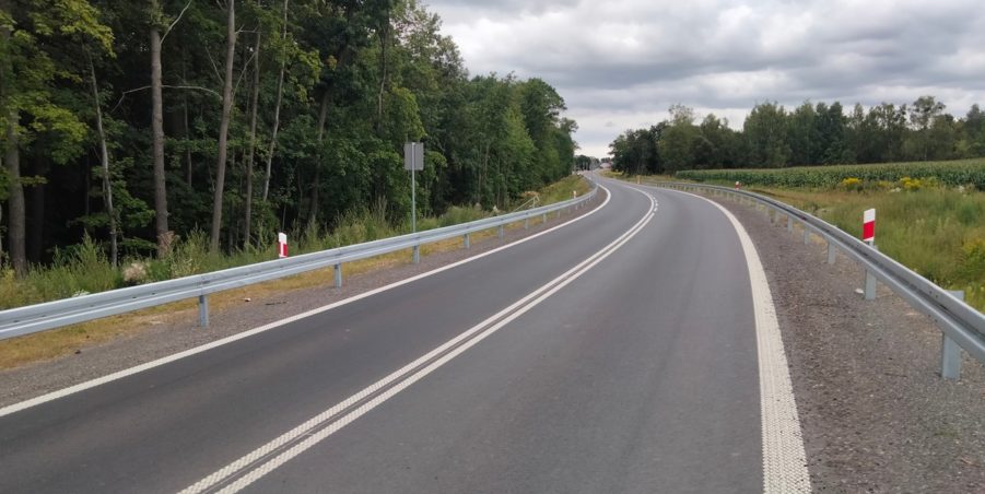 2025 08 18 km 248+900 las Boniowski